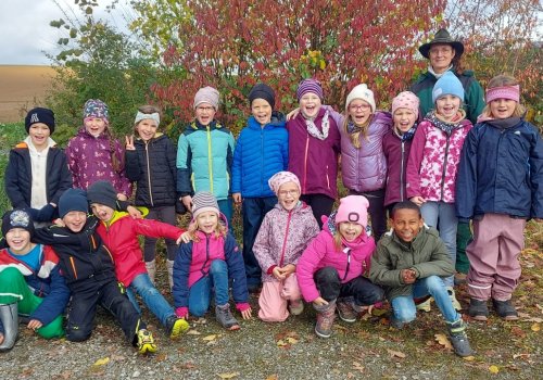 Was wächst, blüht und lebt in der HECKE?