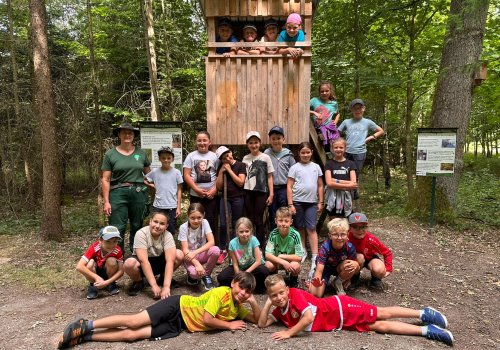 Nachhaltigkeit spielerisch erleben – Lernort Wald für die 3. Klassen